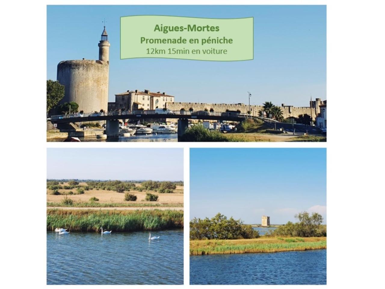 T2 West City Parking Clim Wifi 4Pers - Rossiconciergerie - Linge Inclus La Grande-Motte Esterno foto