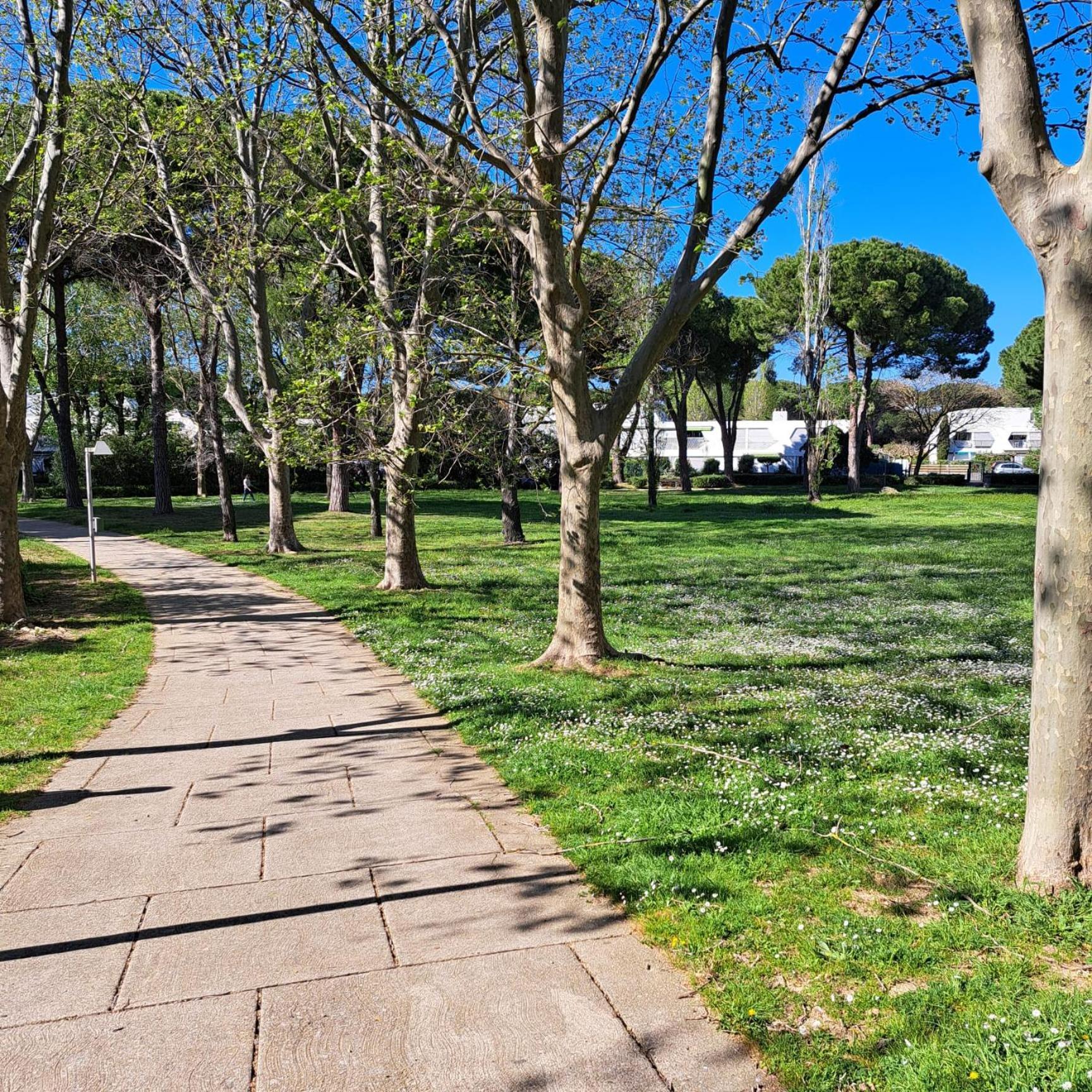 T2 West City Parking Clim Wifi 4Pers - Rossiconciergerie - Linge Inclus La Grande-Motte Esterno foto